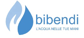 logo BIBENDI